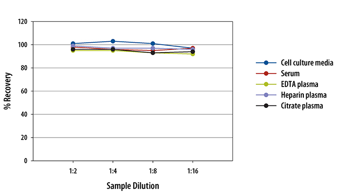  Human IL-12/IL-23 p40 Quantikine ELISA Kit 