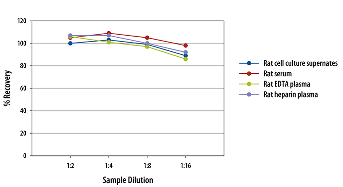  Mouse/Rat IL-22 Quantikine ELISA Kit 