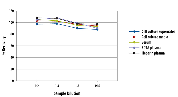  Human Fas Ligand/TNFSF6 Quantikine ELISA Kit