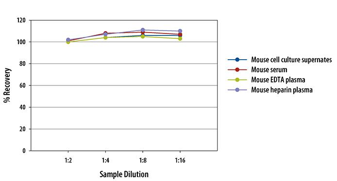 Mouse/Rat FGF-21 Quantikine ELISA Kit 