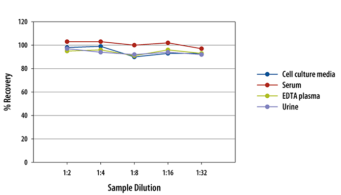 Human Endothelin-1 QuantiGlo ELISA Kit 