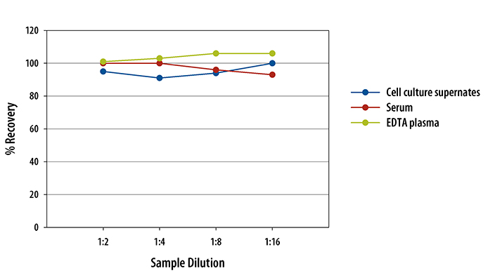 Mouse CCL4/MIP-1 beta Quantikine ELISA Kit 