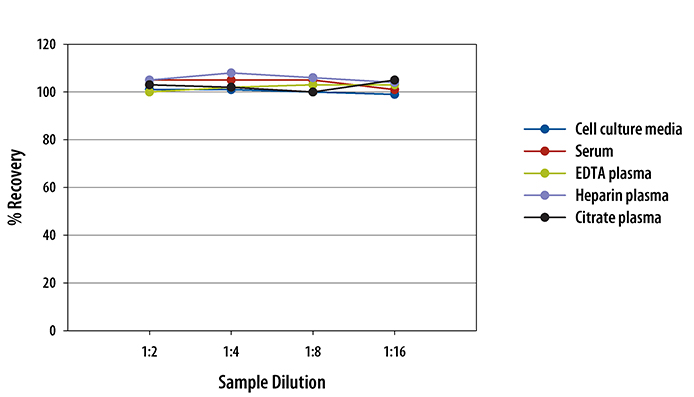  Human Flt-3 Ligand Quantikine ELISA Kit