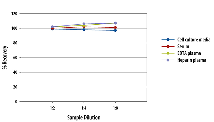 Human CCL22/MDC Quantikine ELISA Kit 