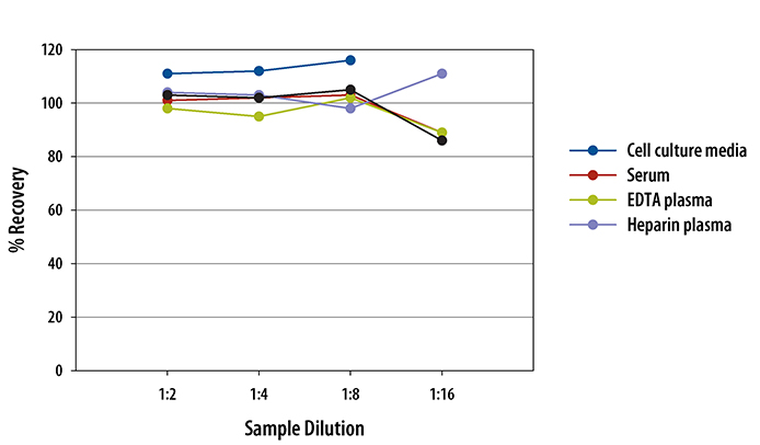  Human SCF Quantikine ELISA Kit 