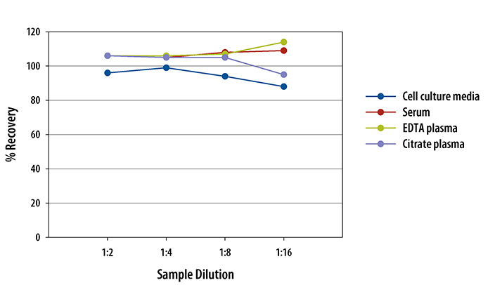 Mouse Thrombopoietin Quantikine ELISA Kit, 2 Plate 