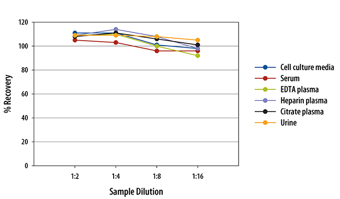 Human SLPI Quantikine ELISA Kit 