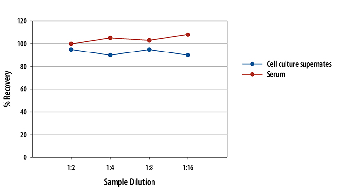  Mouse CXCL1/KC Quantikine ELISA Kit, 2 Plate