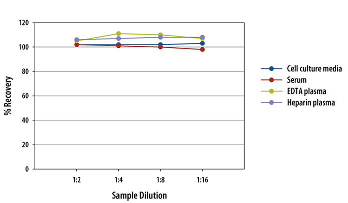  Human Relaxin-2 Quantikine ELISA Kit 