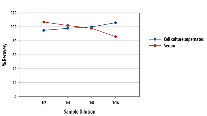 Mouse G-CSF Quantikine ELISA Kit 