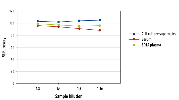  Mouse VEGF R1/Flt-1 Quantikine ELISA Kit