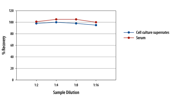 Mouse CXCL2/MIP-2 Quantikine ELISA Kit, 2 Plate 