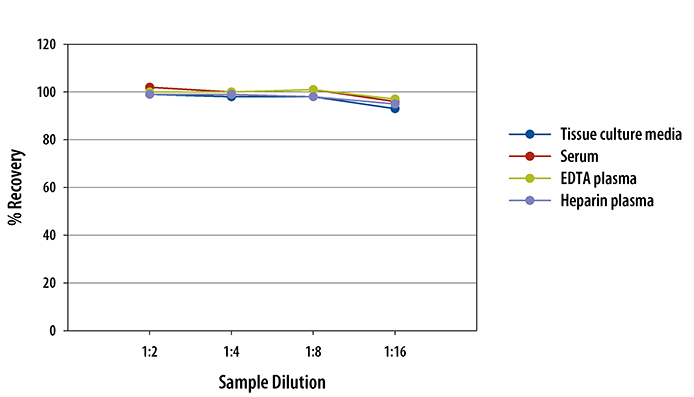 Human Resistin Quantikine ELISA Kit 