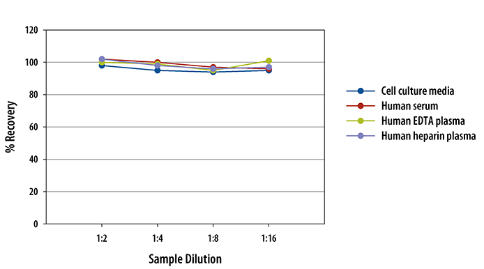  Glucagon Quantikine ELISA Kit
