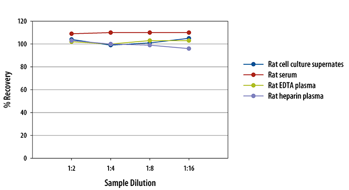  Mouse/Rat IL-33 Quantikine ELISA Kit 