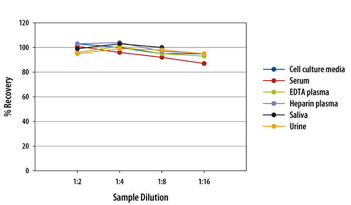 Human RBP4 Quantikine ELISA Kit 