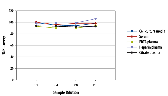 Human IL-11 Quantikine ELISA Kit 