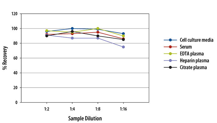  Human Angiogenin Quantikine ELISA Kit