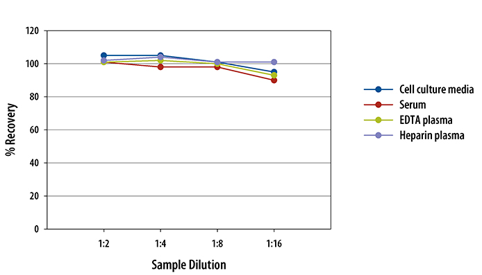  Human FGF-21 Quantikine ELISA Kit