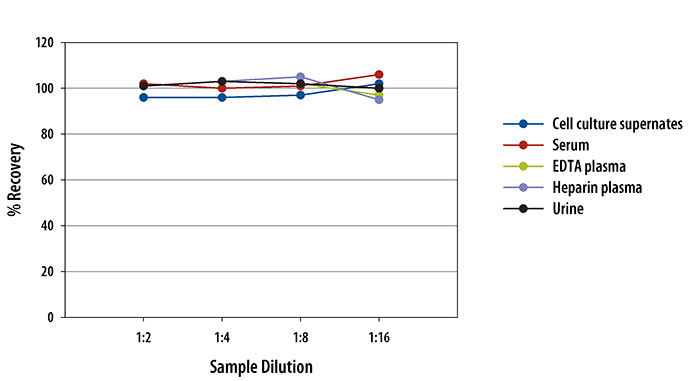  Human Chitinase 3-like 1 Quantikine ELISA Kit