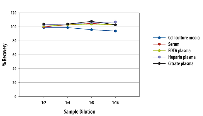  Human KGF/FGF-7 Quantikine ELISA Kit