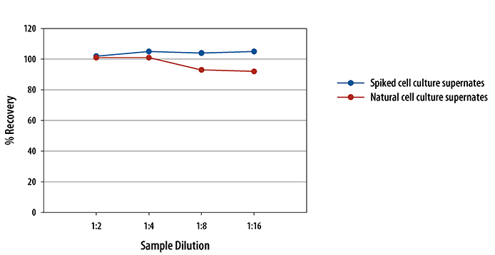 Human Caspase-1/ICE Quantikine ELISA Kit 