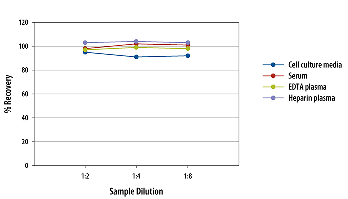  Human Endostatin Quantikine ELISA Kit