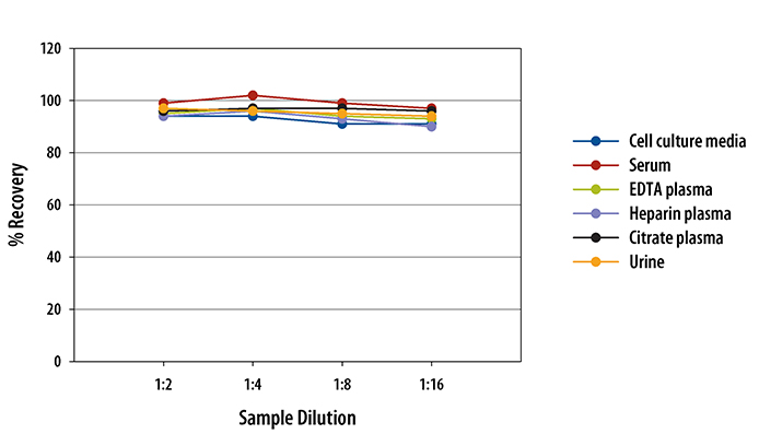  Human Carbonic Anhydrase IX Quantikine ELISA Kit