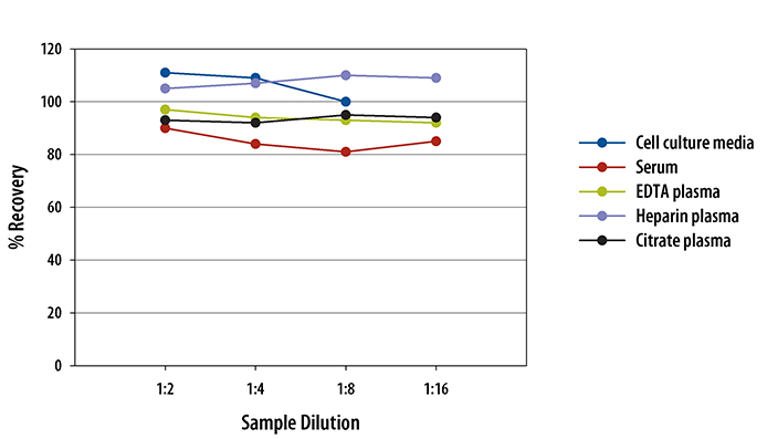 Human IL-3 Quantikine ELISA Kit 
