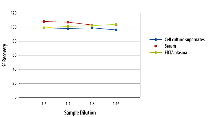  Mouse M-CSF Quantikine ELISA Kit