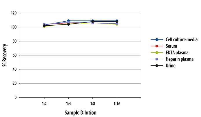 Human uPAR Quantikine ELISA Kit 