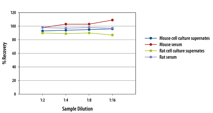  Mouse/Rat Flt-3 Ligand Quantikine ELISA Kit