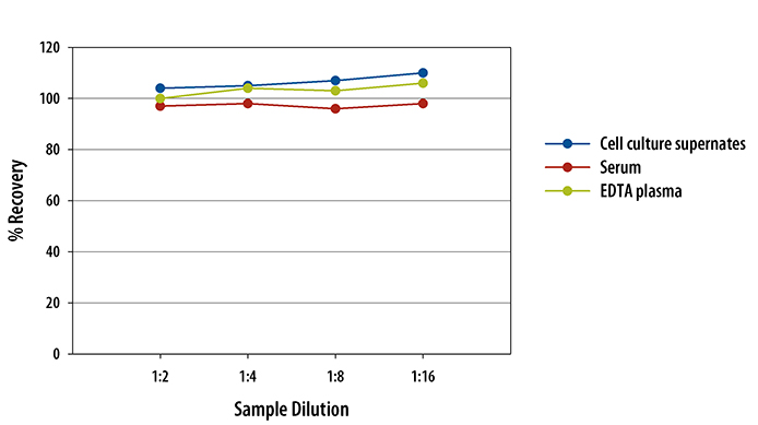  Mouse E-Selectin/CD62E Quantikine ELISA Kit