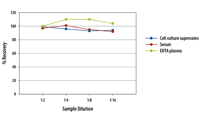 Mouse SCF Quantikine ELISA Kit 