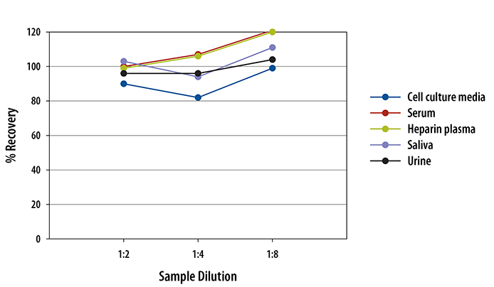  Substance P Parameter Assay Kit