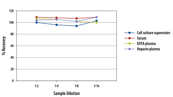  Mouse IL-27 p28/IL-30 Quantikine ELISA Kit