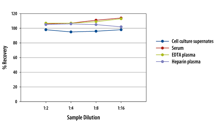  Mouse CCL22/MDC Quantikine ELISA Kit
