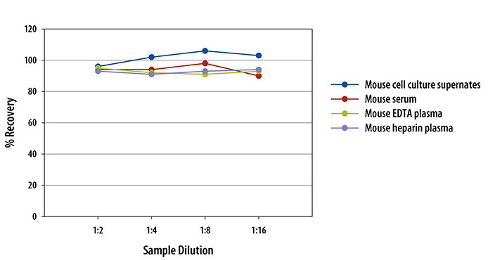  Mouse/Rat PDGF-BB Quantikine ELISA Kit 