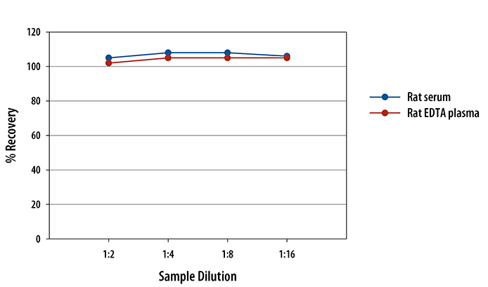  Mouse/Rat TNF RII/TNFRSF1B Quantikine ELISA Kit 