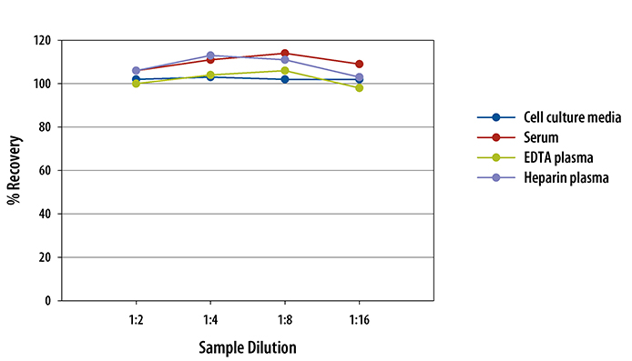 Human Growth Hormone Quantikine ELISA Kit 