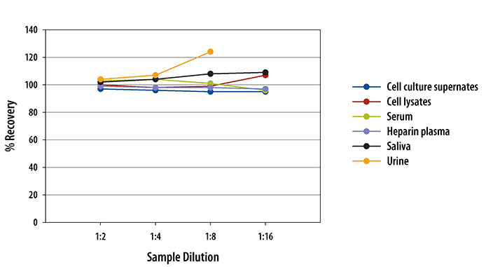 Human Pro-Cathepsin B Quantikine ELISA Kit 
