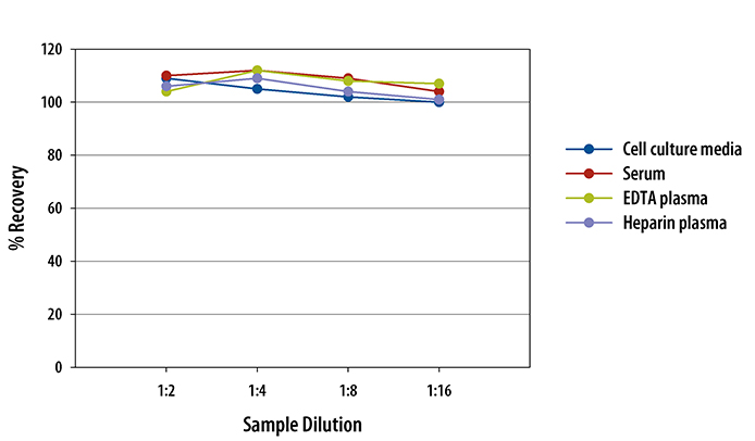 Human TSLP Quantikine ELISA Kit 