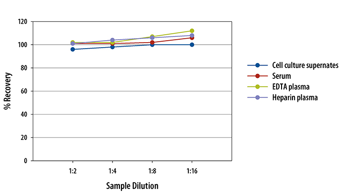 Mouse Resistin Quantikine ELISA Kit