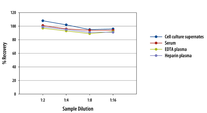  Human alpha-Fetoprotein Quantikine ELISA Kit
