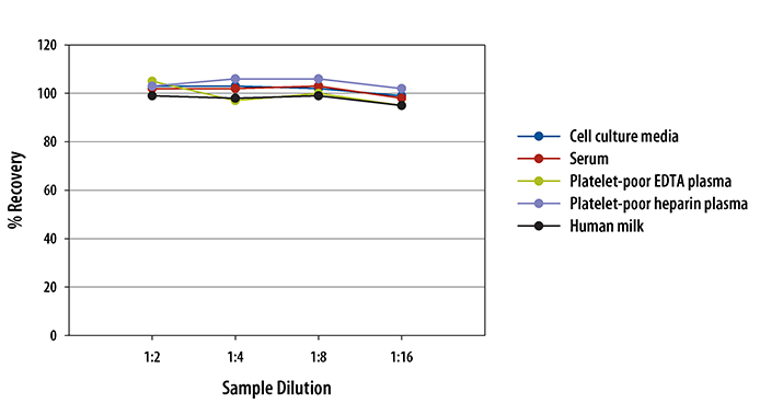  Human PDGF-DD Quantikine ELISA Kit