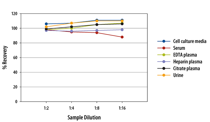 Human Thrombomodulin/BDCA-3 Quantikine ELISA Kit 