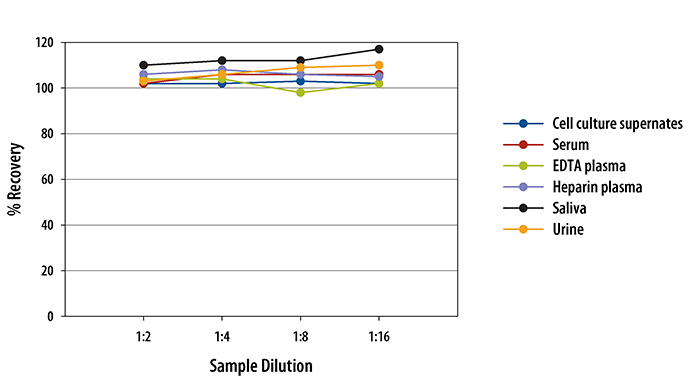  Human CXCL10/IP-10 Quantikine ELISA Kit 