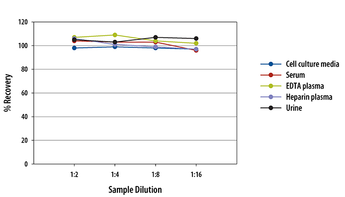  Human alpha 1-Acid Glycoprotein Quantikine ELISA Kit