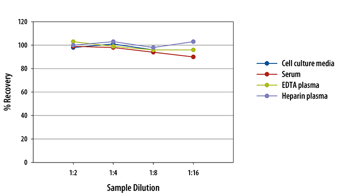  Human Fetuin A Quantikine ELISA Kit