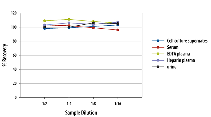 Mouse TIM-1/KIM-1/HAVCR Quantikine ELISA Kit 